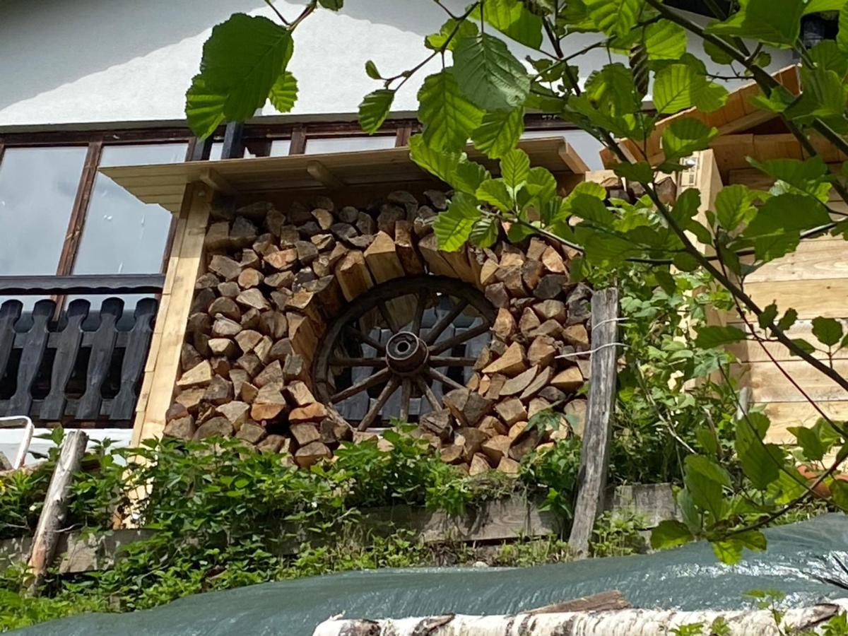 La Irmania Pension Ledenitzen Bagian luar foto